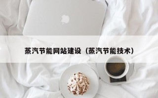 武威蒸汽节能网站建设（蒸汽节能技术）